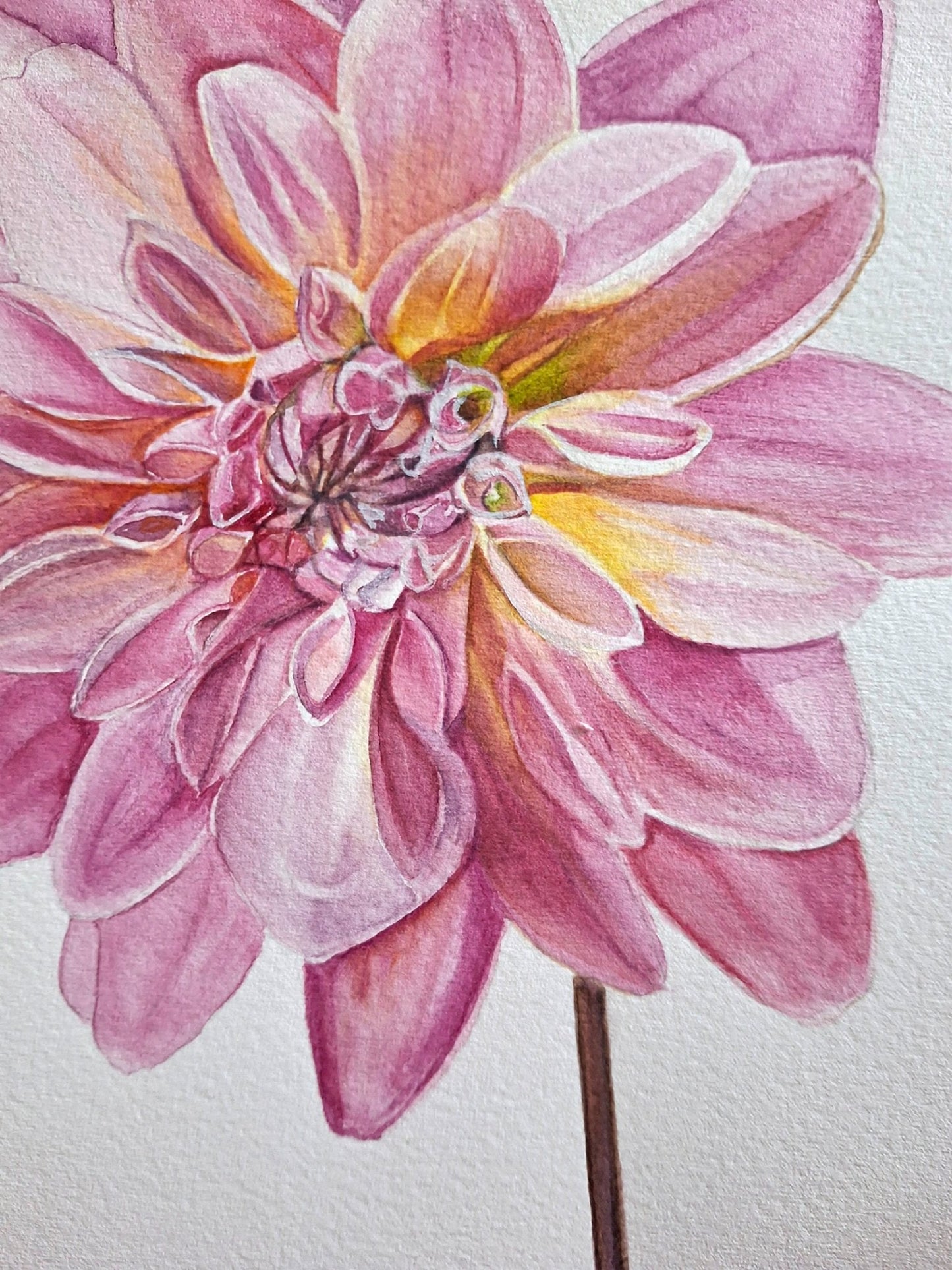 Dahlia Watercolour Framed - Gold Coast Gallery Of ArtNatalie K