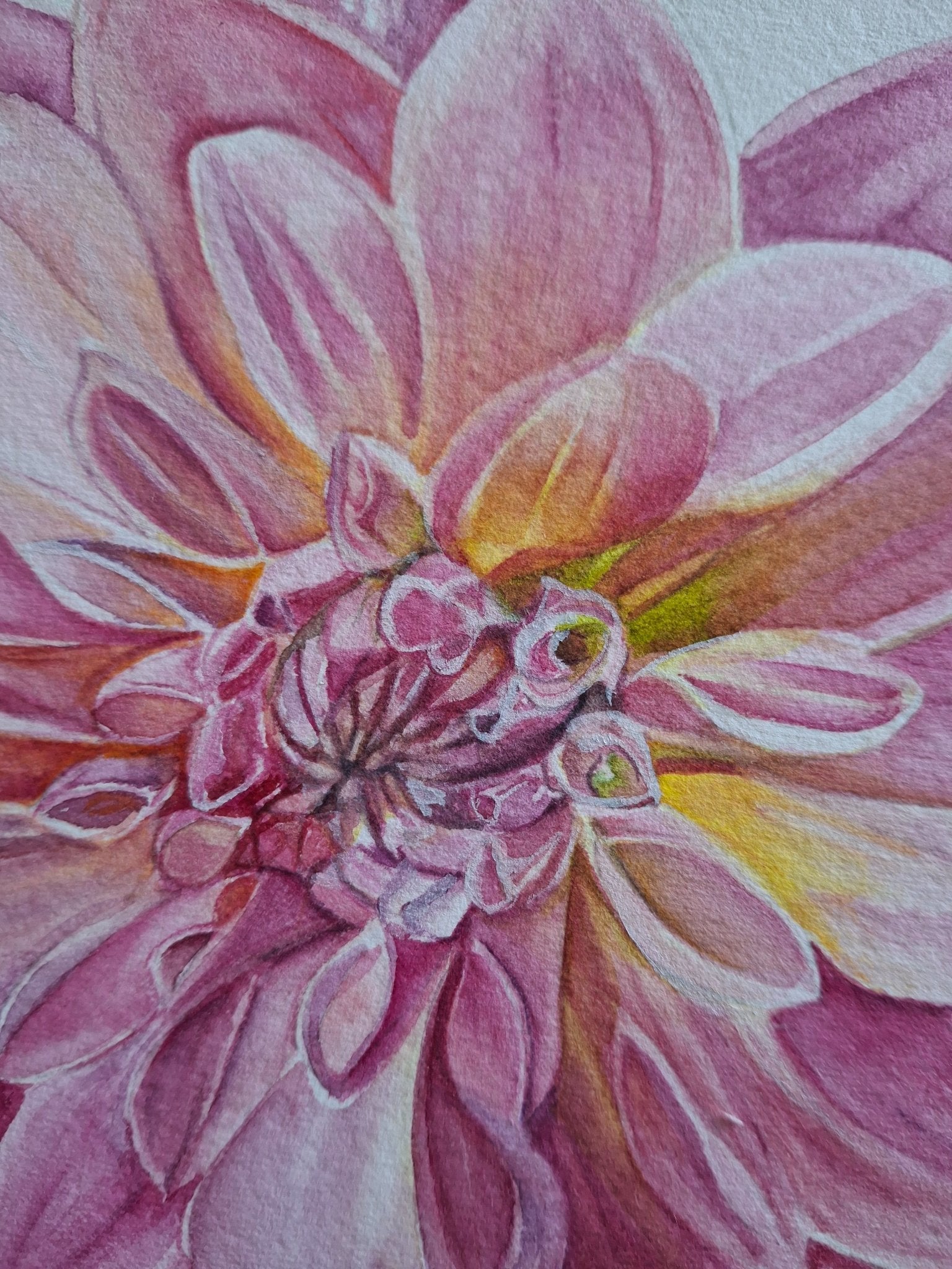 Dahlia Watercolour Framed - Gold Coast Gallery Of ArtNatalie K