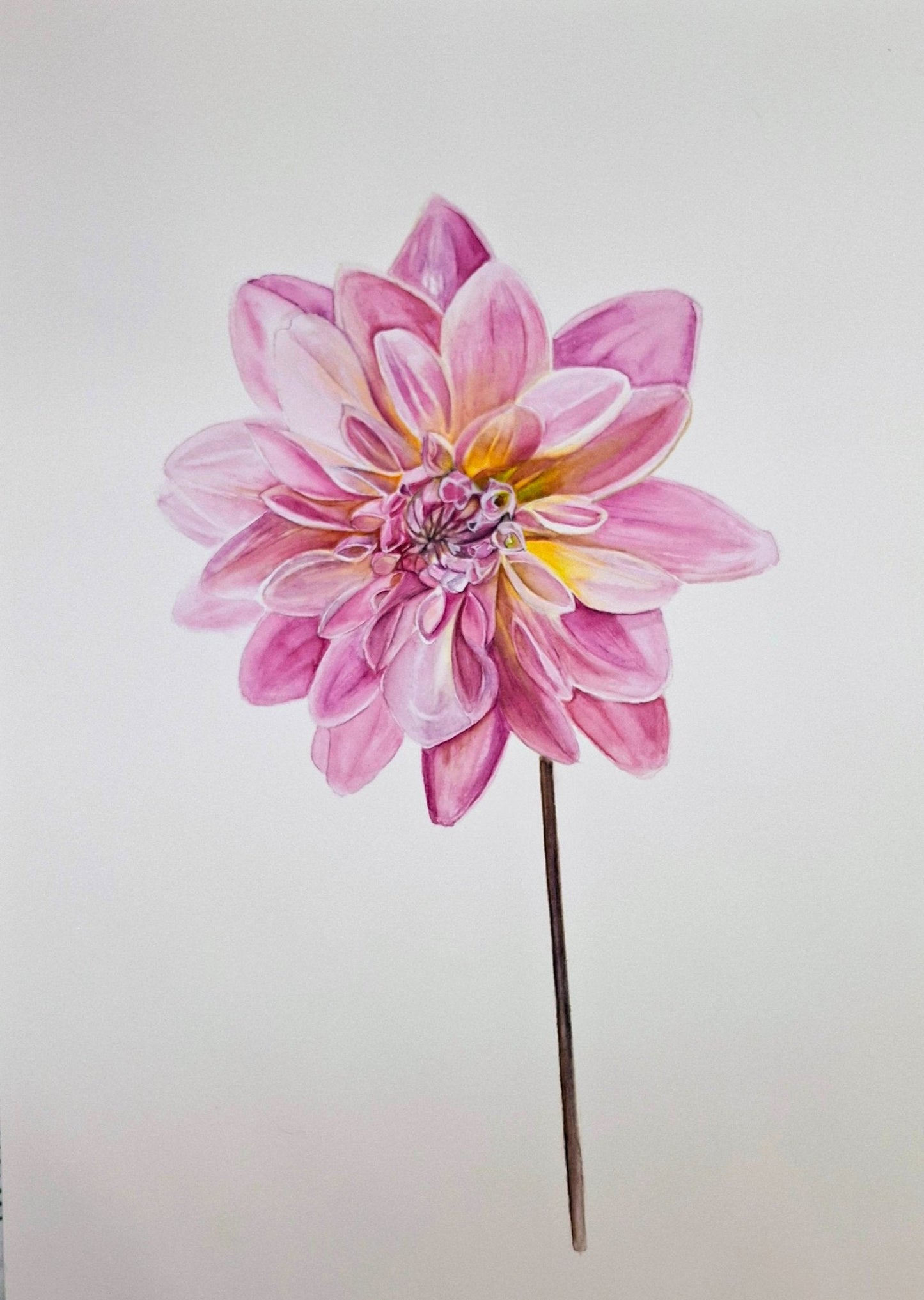 Dahlia Watercolour Framed - Gold Coast Gallery Of ArtNatalie K