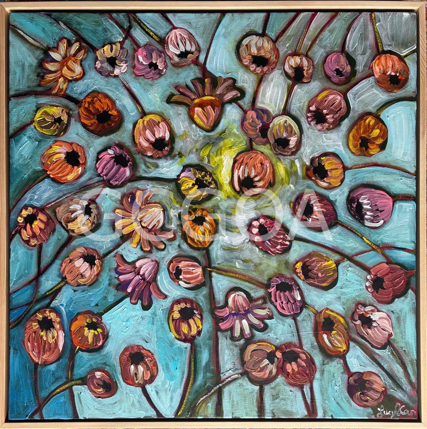 Daisies in the Sun - Gold Coast Gallery Of ArtLucy Car