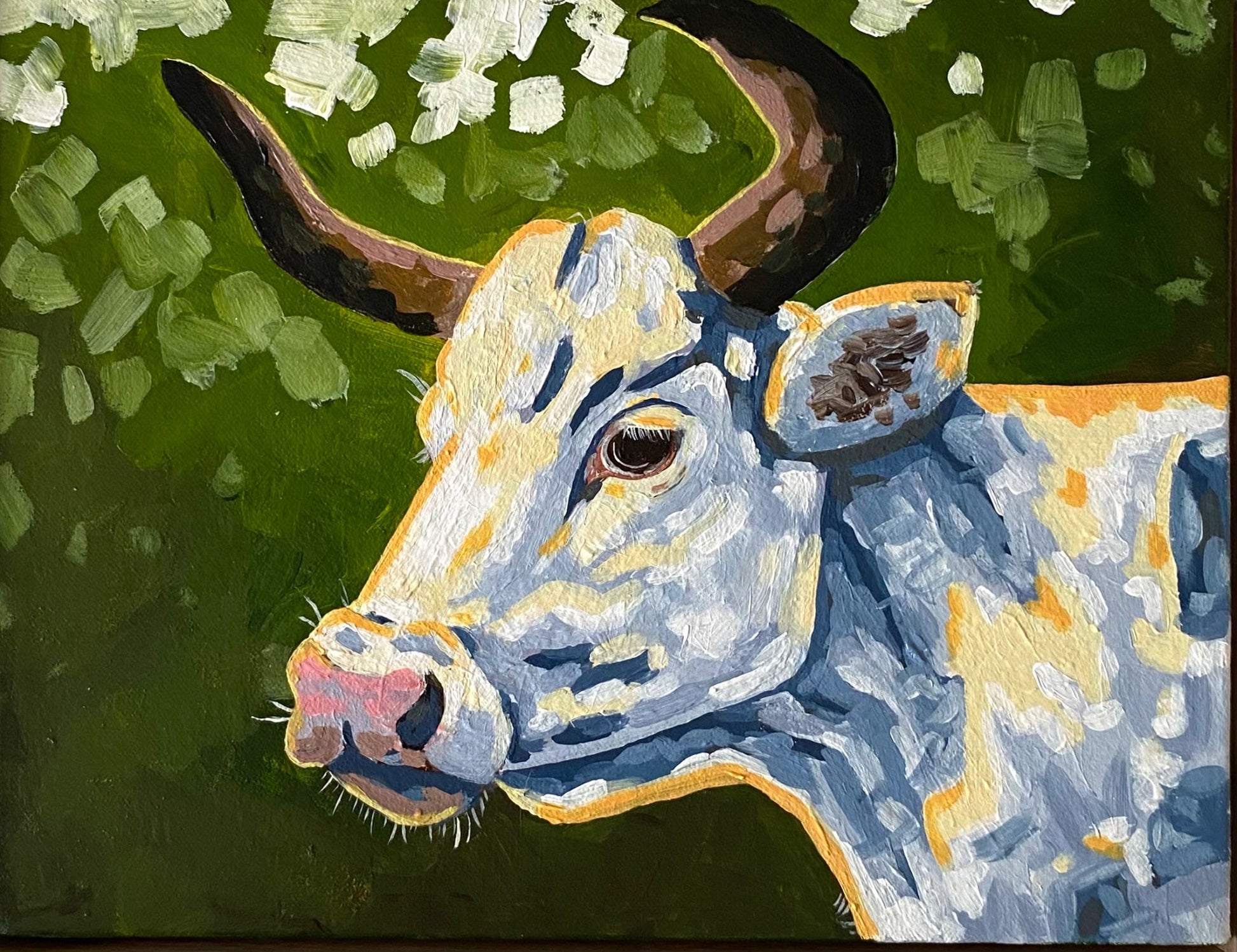 Daisy - Gold Coast Gallery Of ArtMikayla