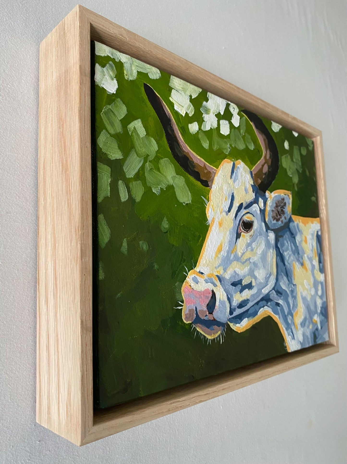 Daisy - Gold Coast Gallery Of ArtMikayla