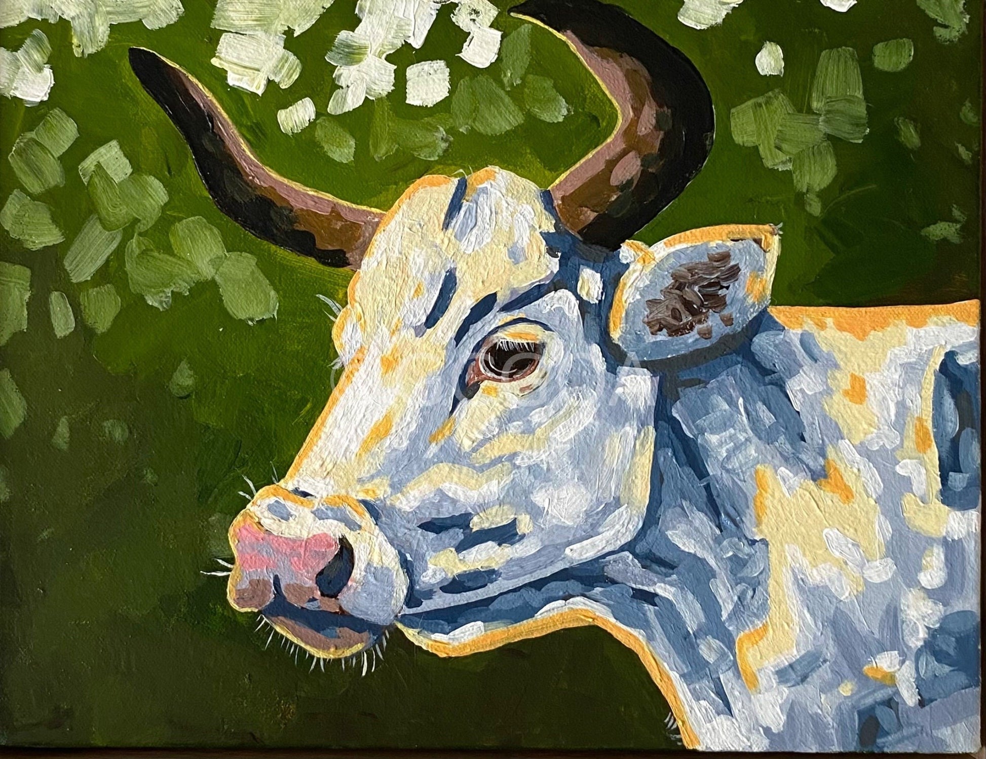 Daisy - Gold Coast Gallery Of ArtMikayla