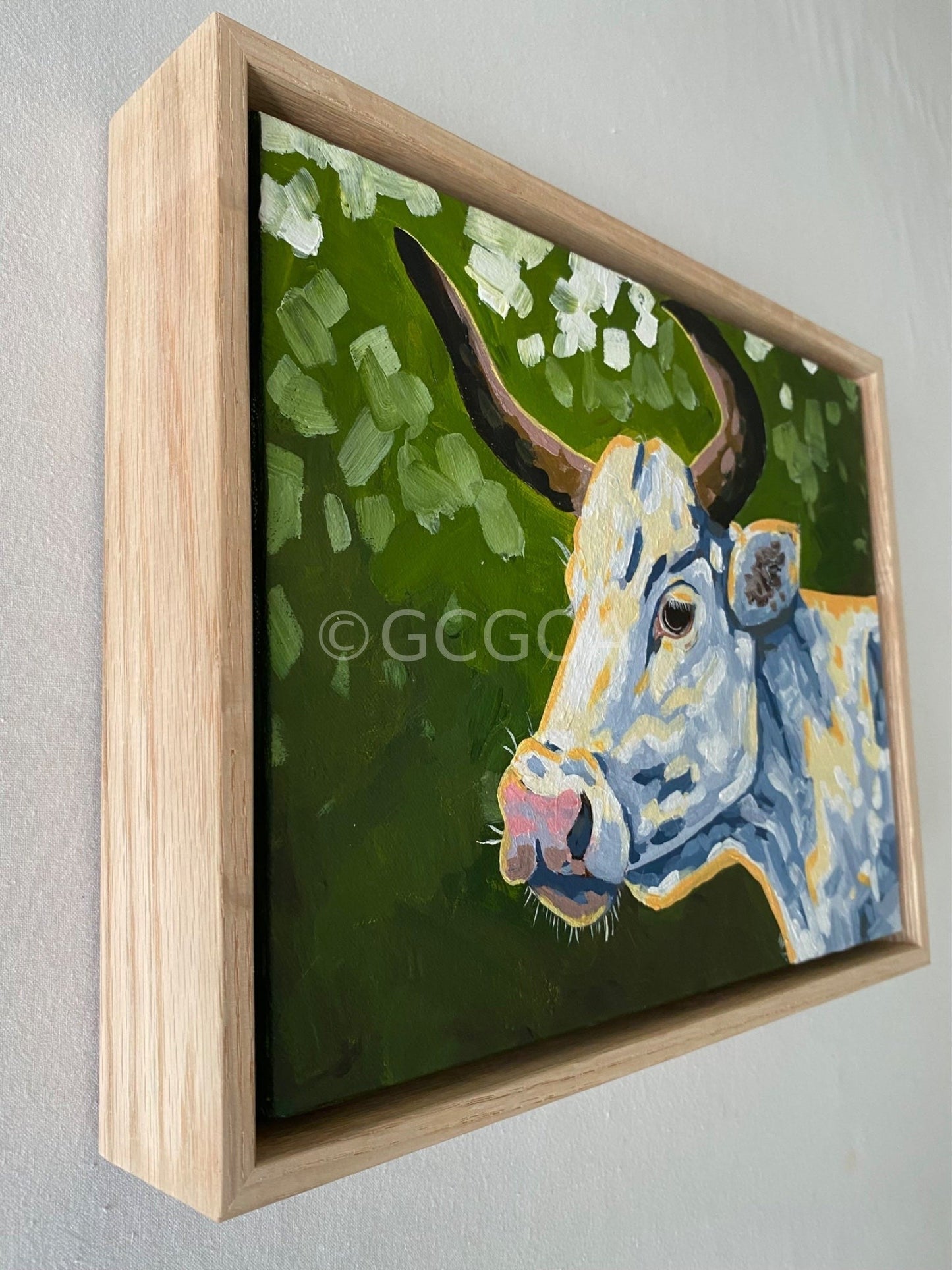 Daisy - Gold Coast Gallery Of ArtMikayla