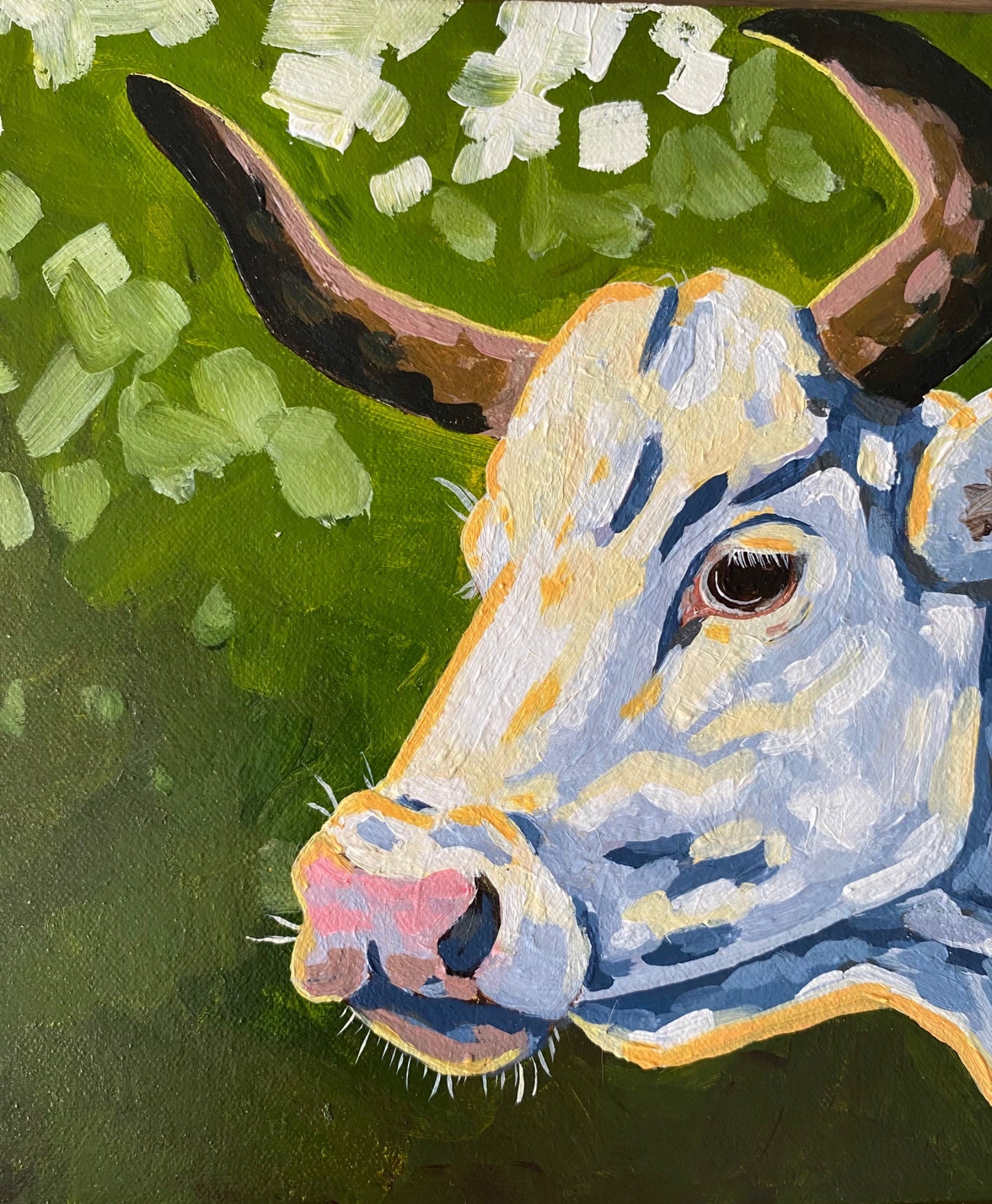 Daisy - Gold Coast Gallery Of ArtMikayla