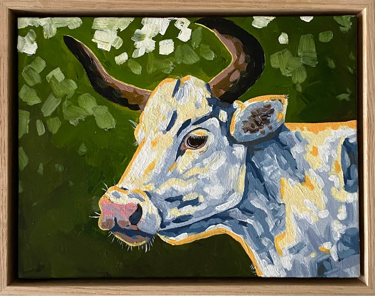 Daisy - Gold Coast Gallery Of ArtMikayla