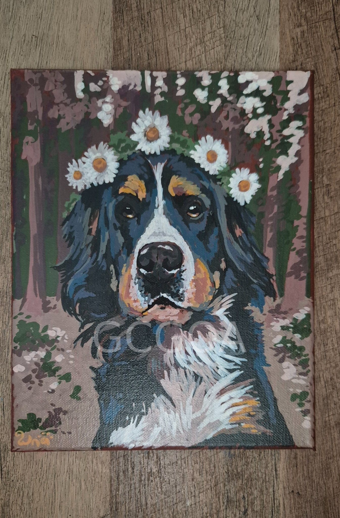 Daisy Girl - Gold Coast Gallery Of ArtRenae Hall