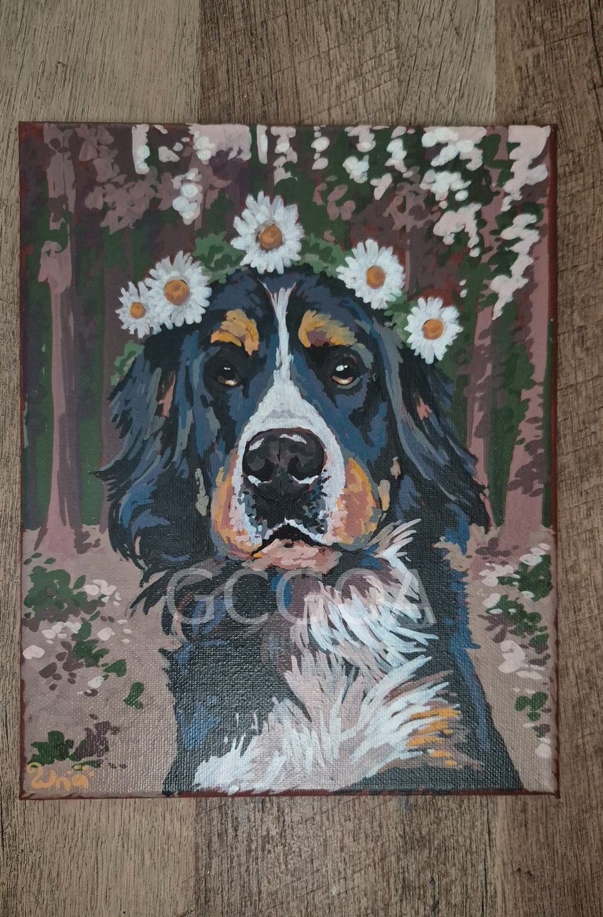 Daisy Girl - Gold Coast Gallery Of ArtRenae Hall