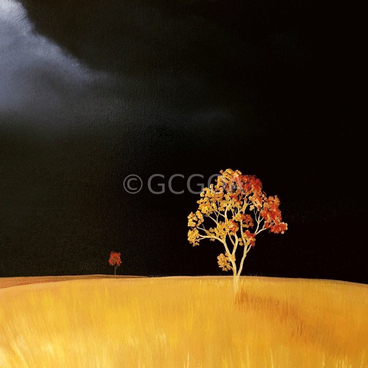 Dare To Dream - Original Art - Gold Coast Gallery Of ArtLucinda Leveille