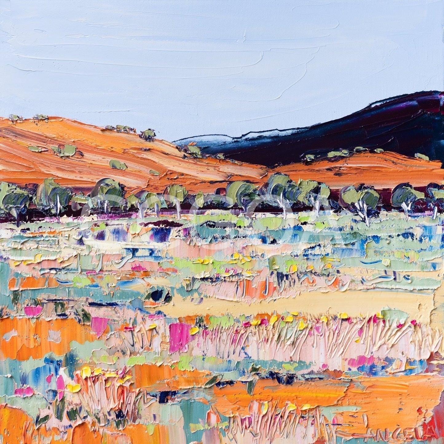 Desert Light - Gold Coast Gallery Of ArtAngela Hawkey