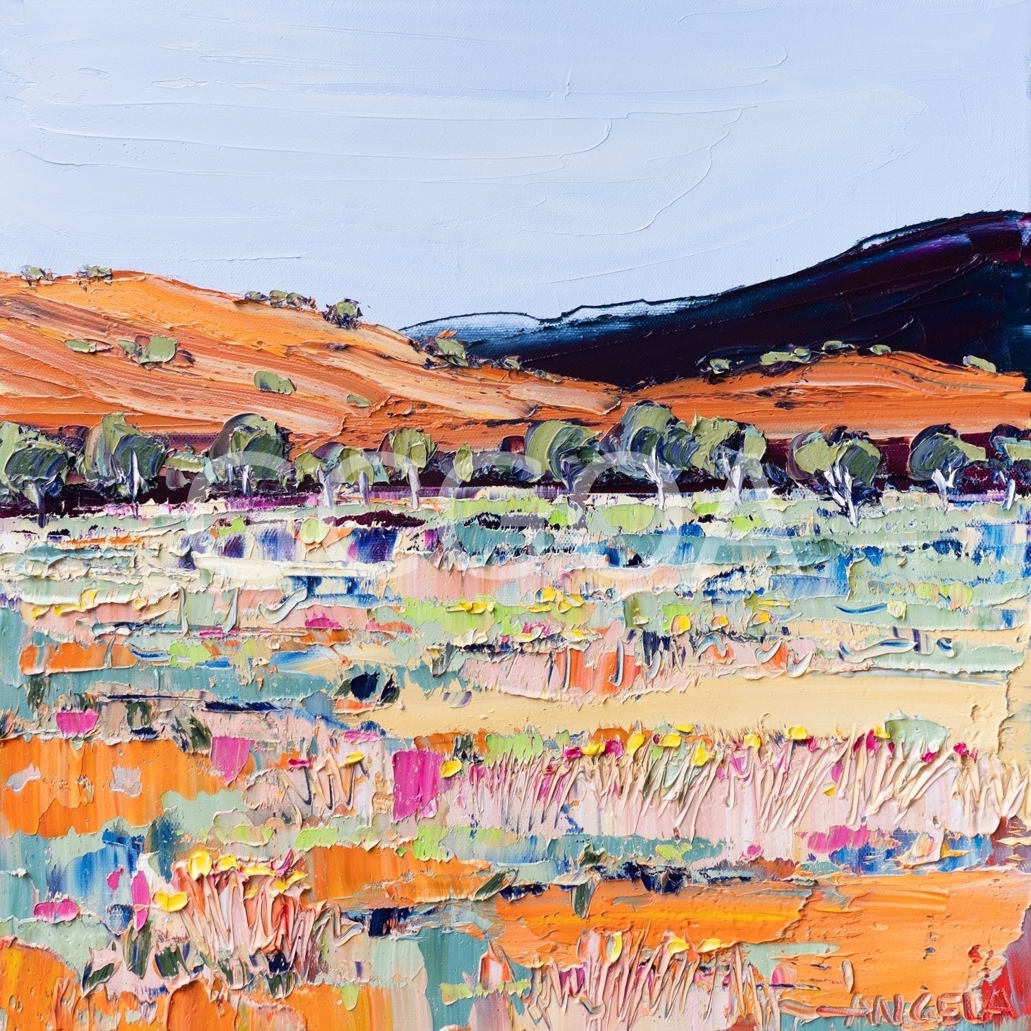 Desert Light - Gold Coast Gallery Of ArtAngela Hawkey