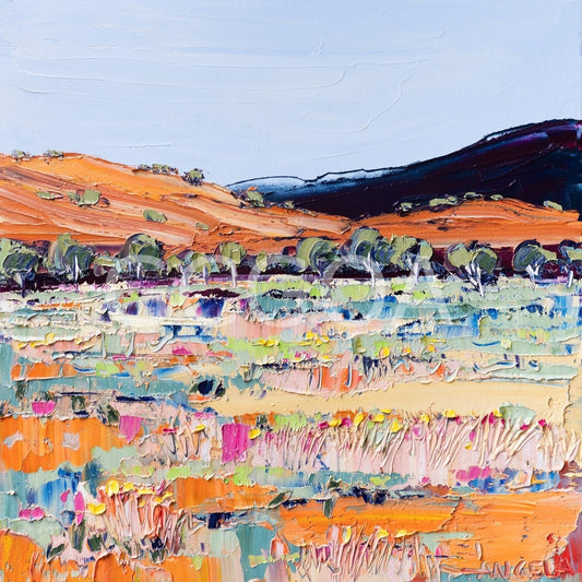 Desert Light - Gold Coast Gallery Of ArtAngela Hawkey
