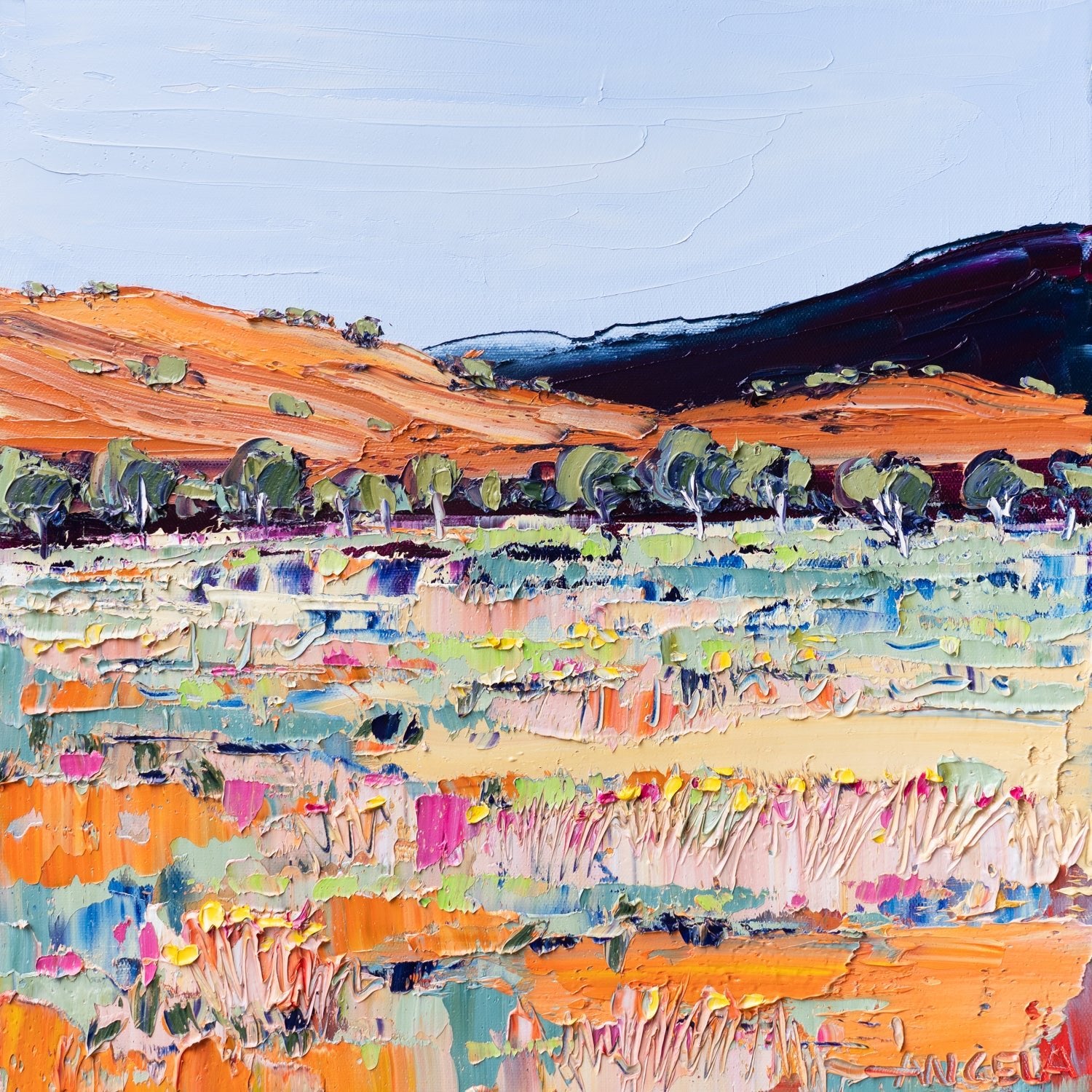 Desert Light - Gold Coast Gallery Of ArtAngela Hawkey