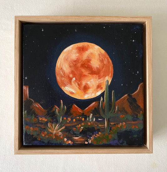 Desert Night - Gold Coast Gallery Of ArtMikayla