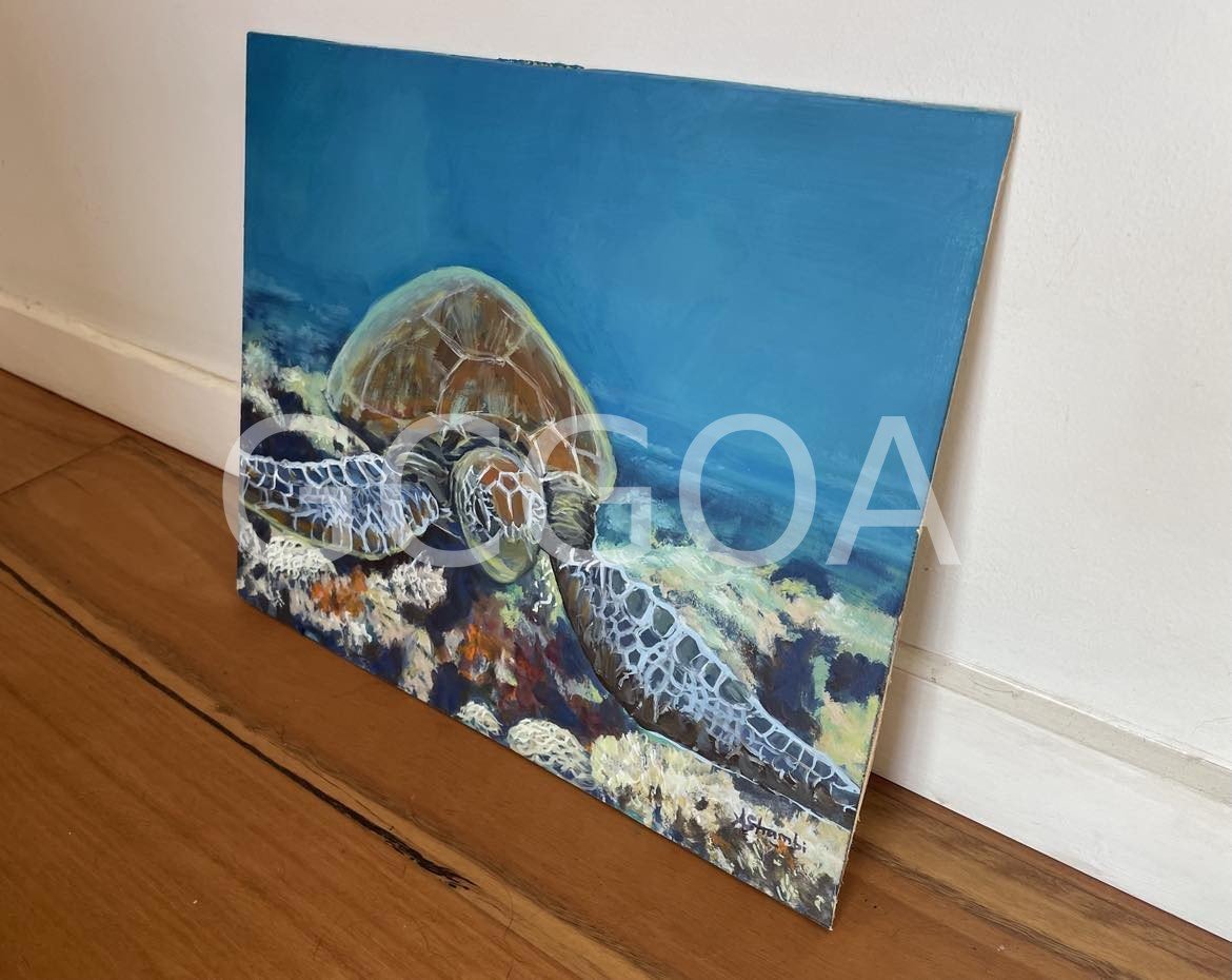 Drifting Turtle - Gold Coast Gallery Of ArtAnne Strambi