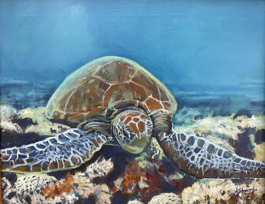 Drifting Turtle - Gold Coast Gallery Of ArtAnne Strambi