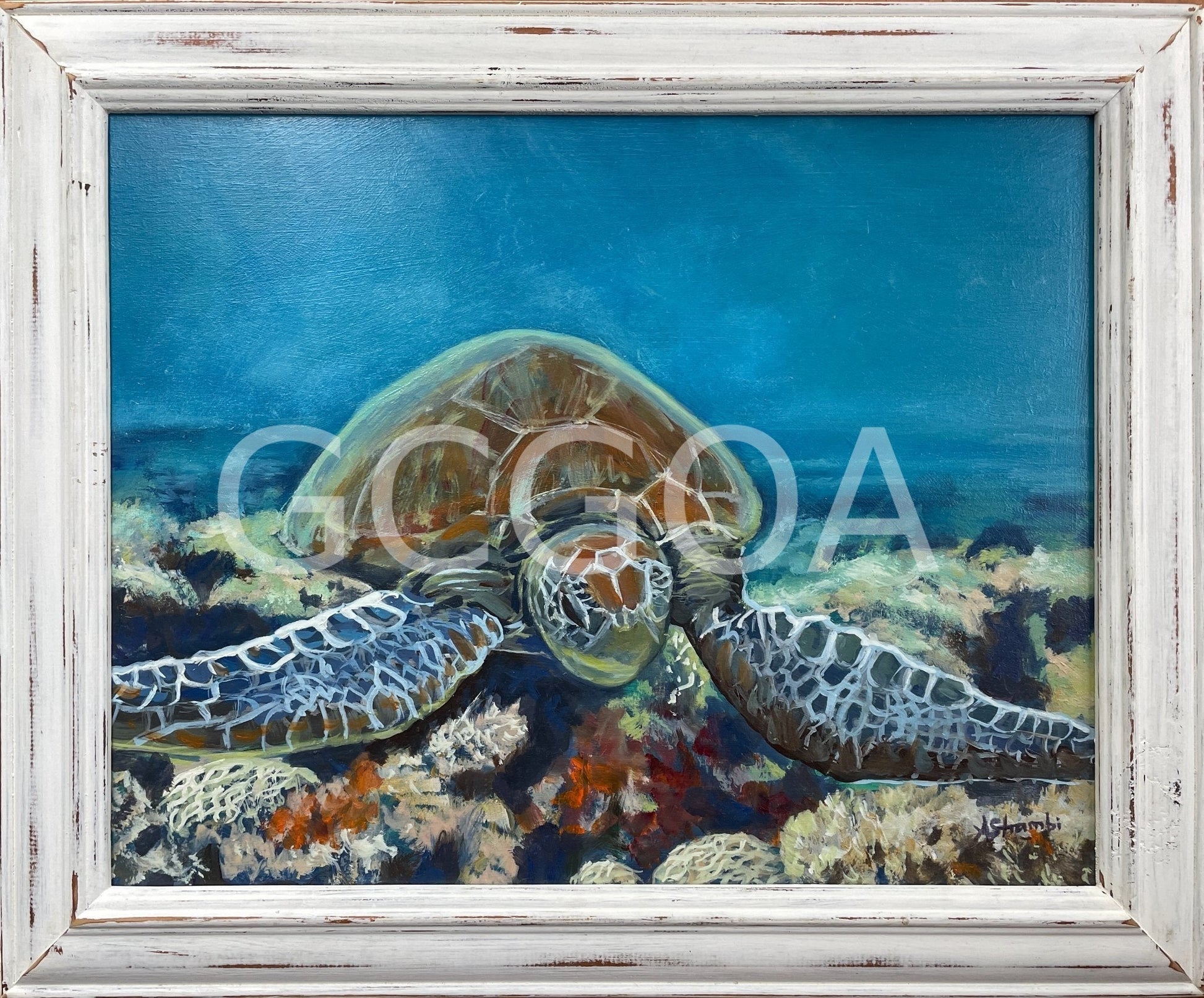 Drifting Turtle - Gold Coast Gallery Of ArtAnne Strambi