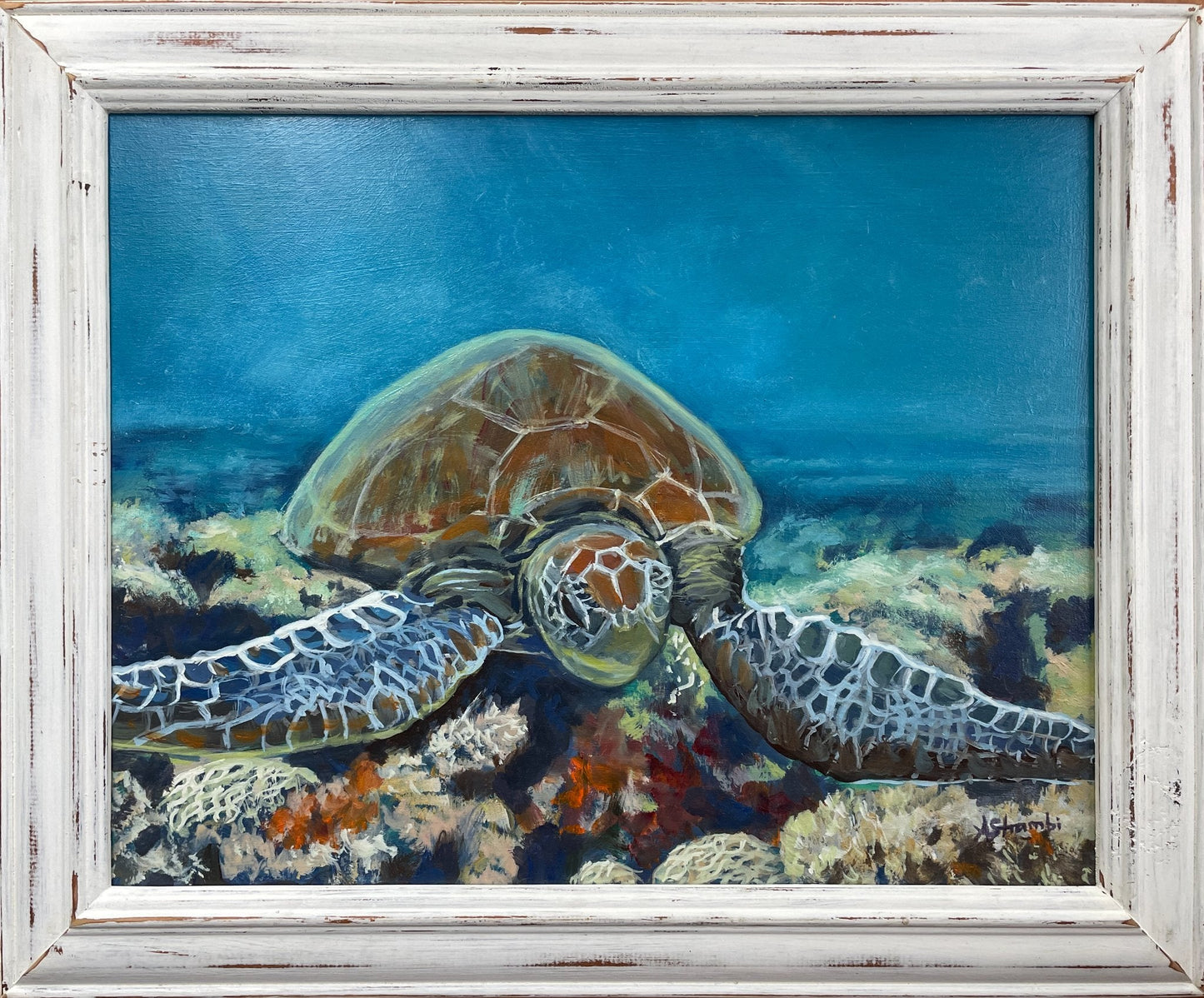 Drifting Turtle - Gold Coast Gallery Of ArtAnne Strambi