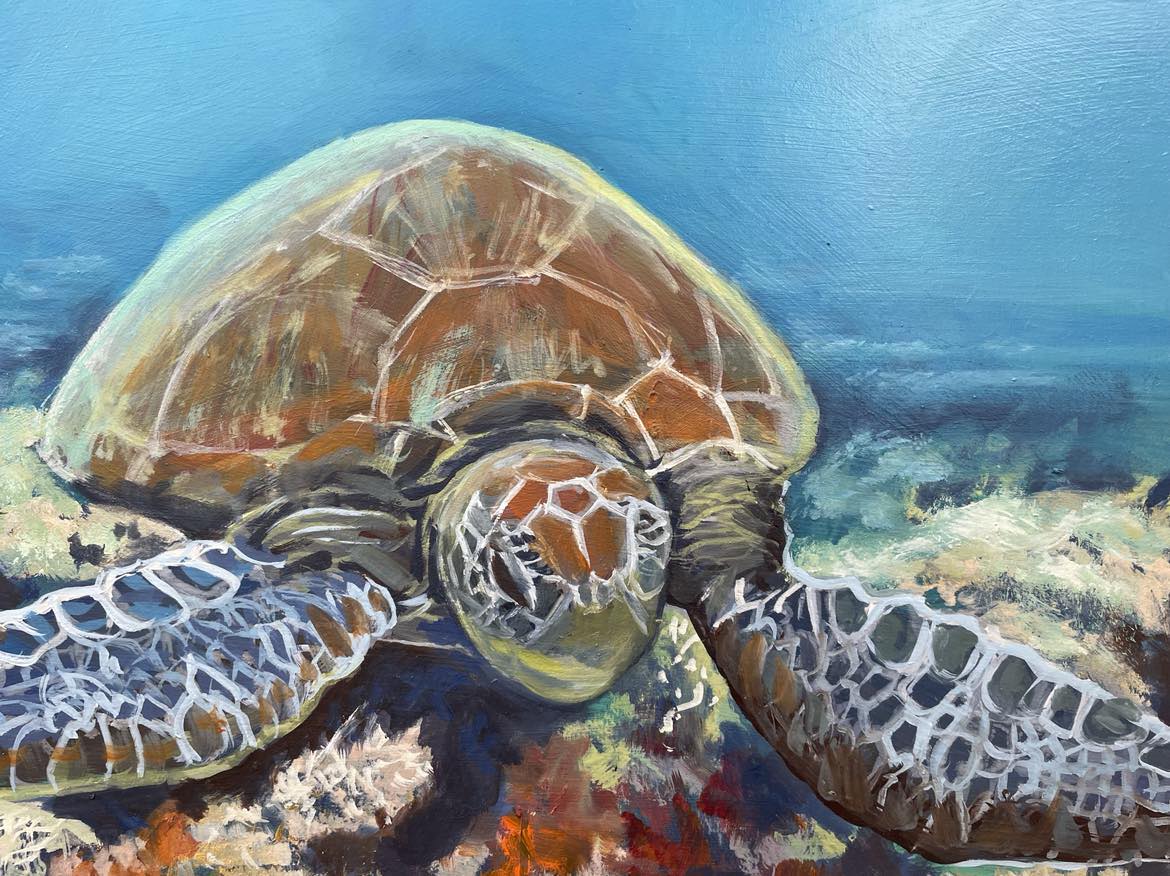 Drifting Turtle - Gold Coast Gallery Of ArtAnne Strambi