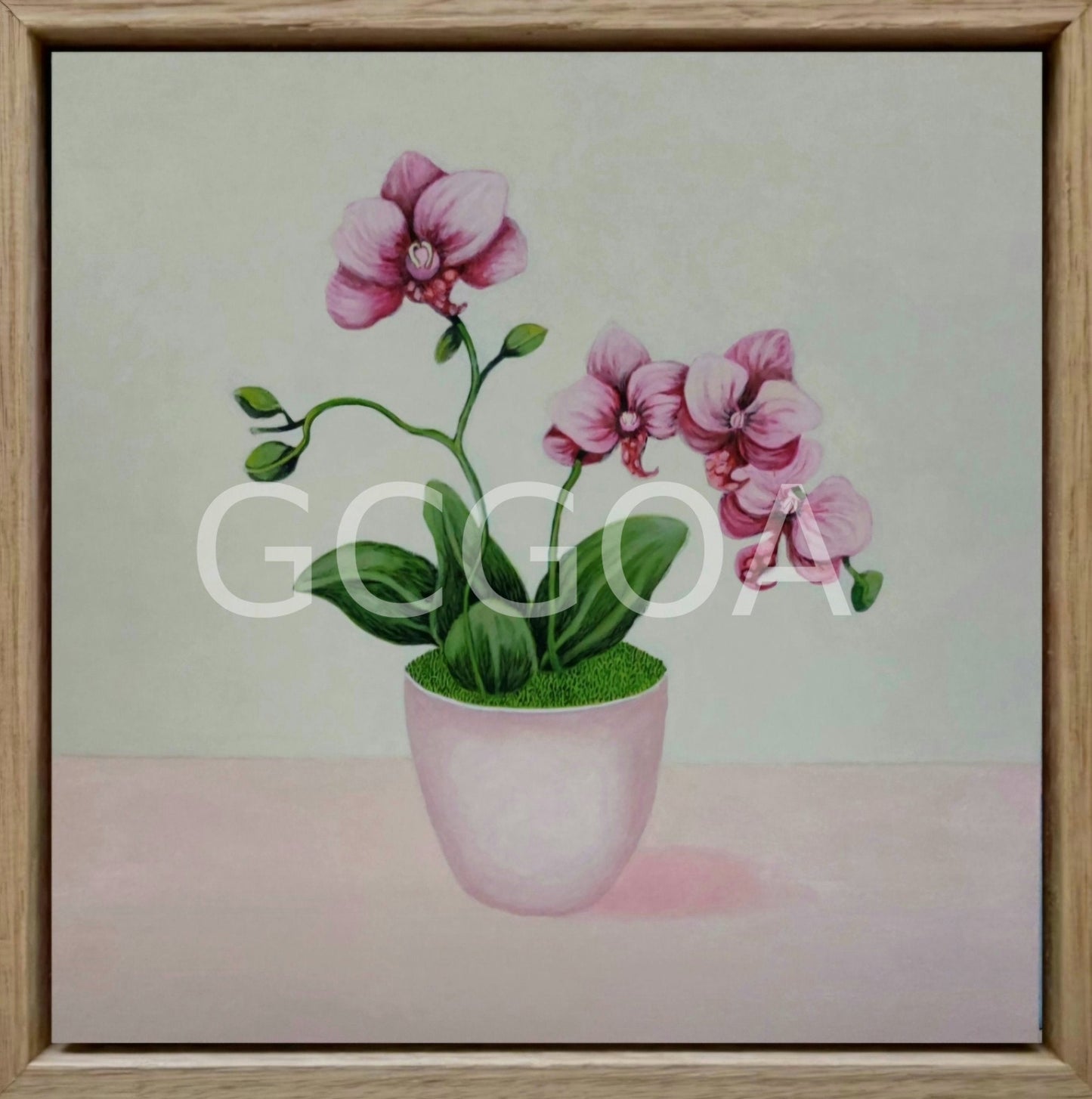 Eileen's Pink Orchid - Gold Coast Gallery Of ArtFiona Thorning