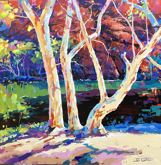 Ellery Creek Big Hole 2 - Gold Coast Gallery Of ArtJos Coufreur