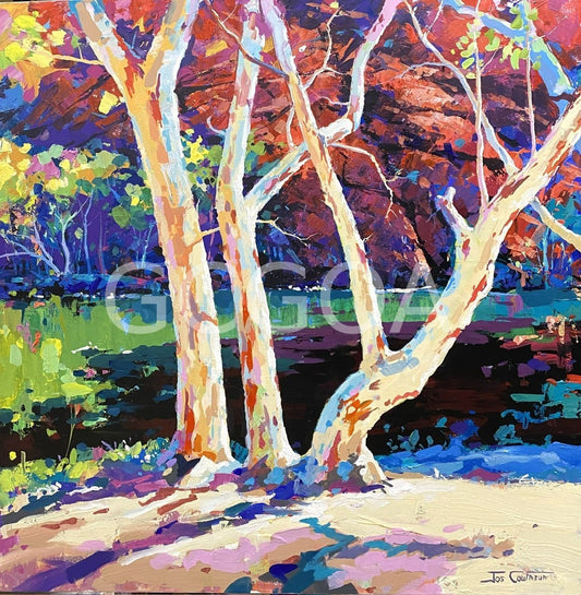 Ellery Creek Big Hole 2 - Gold Coast Gallery Of ArtJos Coufreur