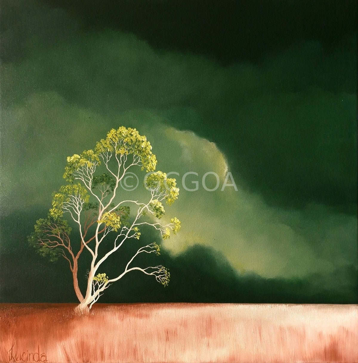 Emergence - original art - Gold Coast Gallery Of ArtLucinda Leveille