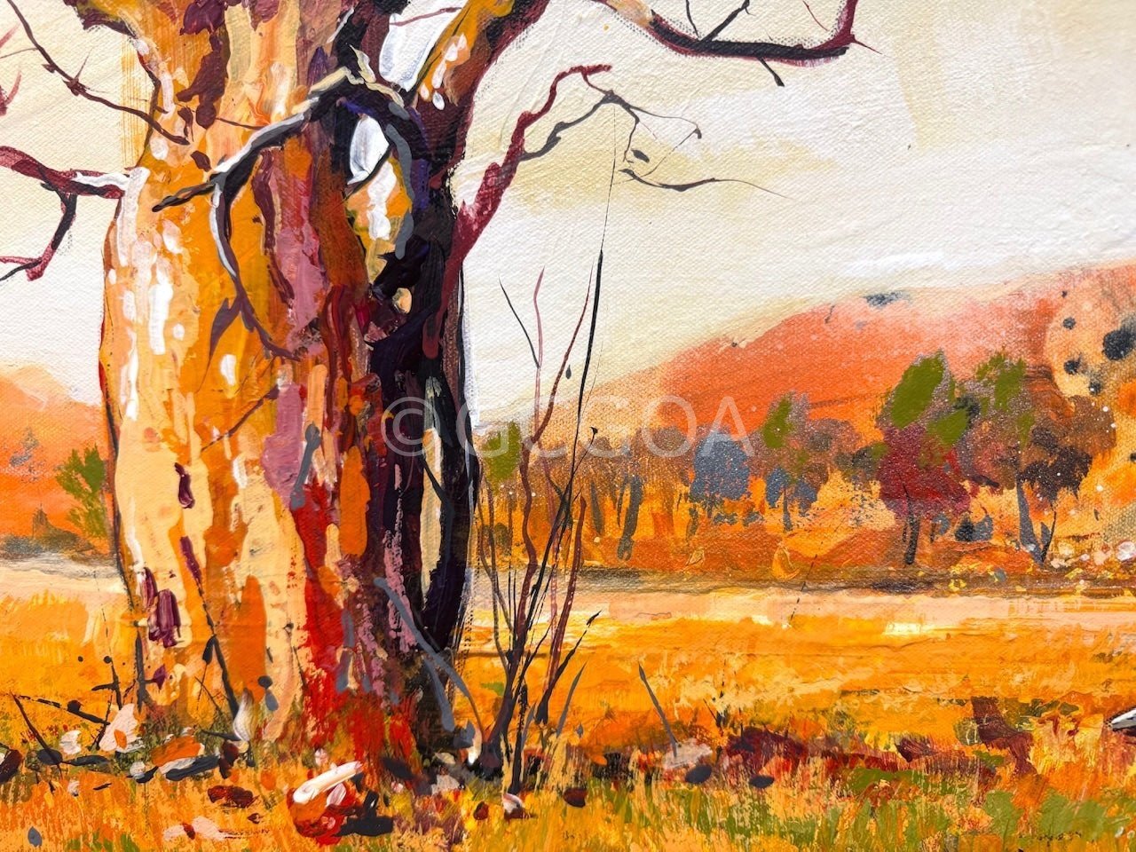 Emu Family in the Kimberley - Gold Coast Gallery Of ArtJos Coufreur