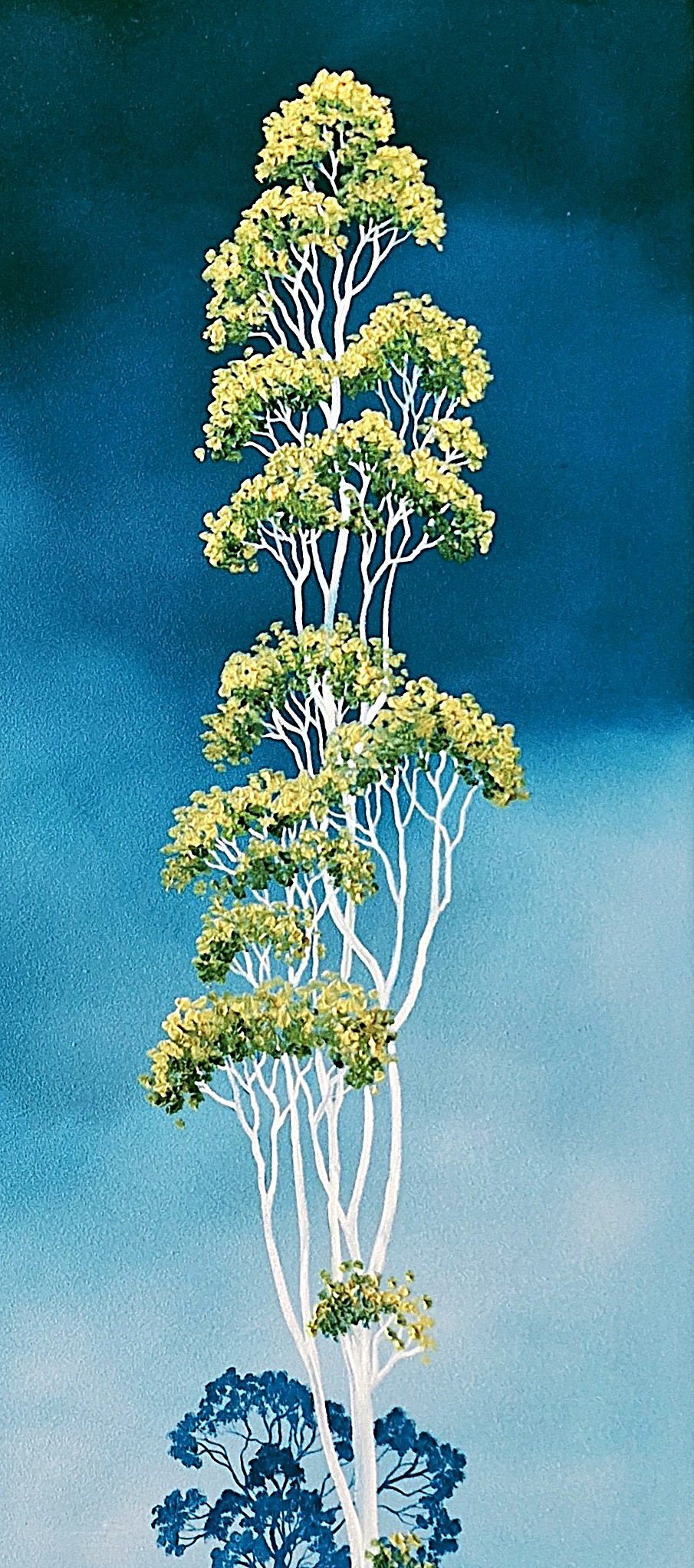 Eucalyptus Blues - Gold Coast Gallery Of ArtLucinda Leveille