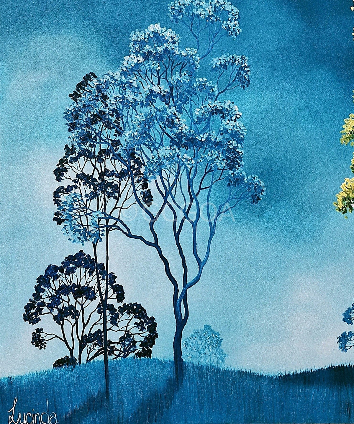 Eucalyptus Blues - Gold Coast Gallery Of ArtLucinda Leveille