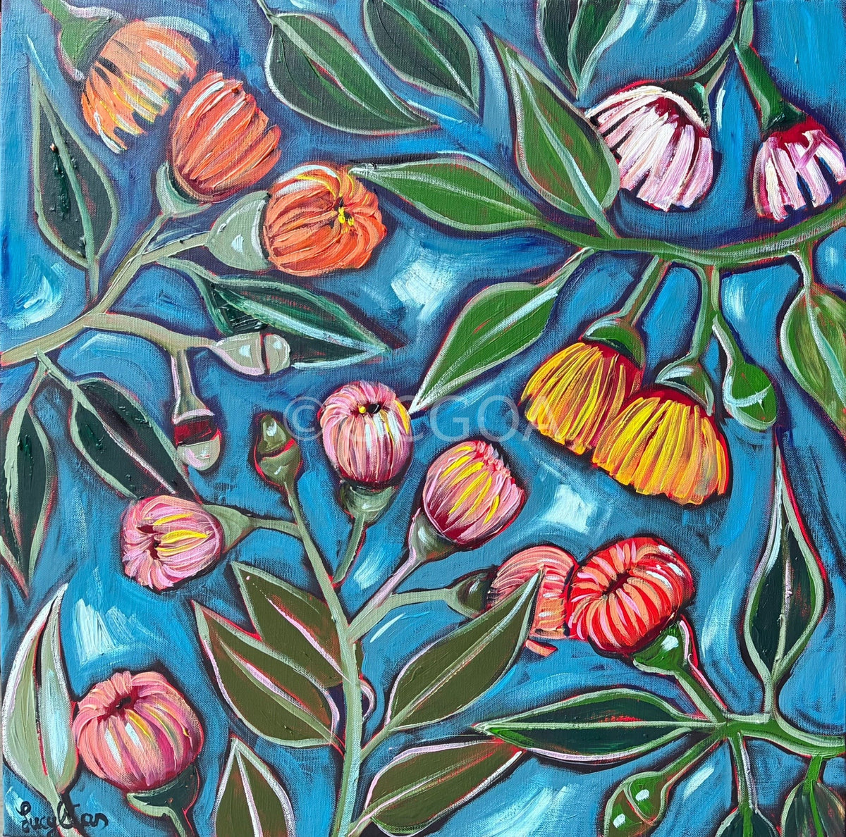 Eucalyptus on Blue - Gold Coast Gallery Of ArtLucy Car
