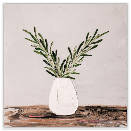 Extending An Olive Branch 3 - Fine Art Print - Gold Coast Gallery Of ArtAngela Hawkey