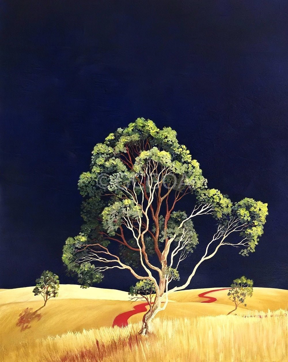 Far Away On The Red Road - Original Art - Gold Coast Gallery Of ArtLucinda Leveille