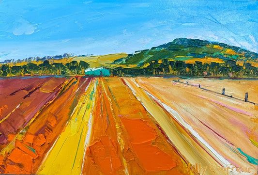 Farm Landscape 34 - Plein Air - Gold Coast Gallery Of ArtHilly Coufreur