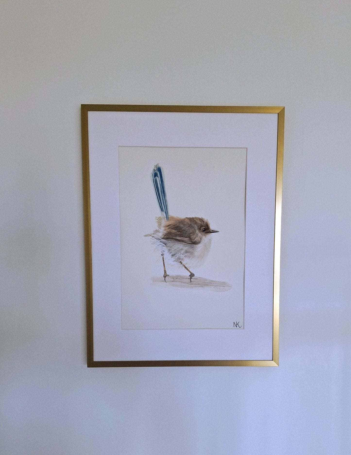 Female Fairy Wren - Gold Coast Gallery Of ArtNatalie K