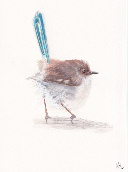 Female Fairy Wren - Gold Coast Gallery Of ArtNatalie K