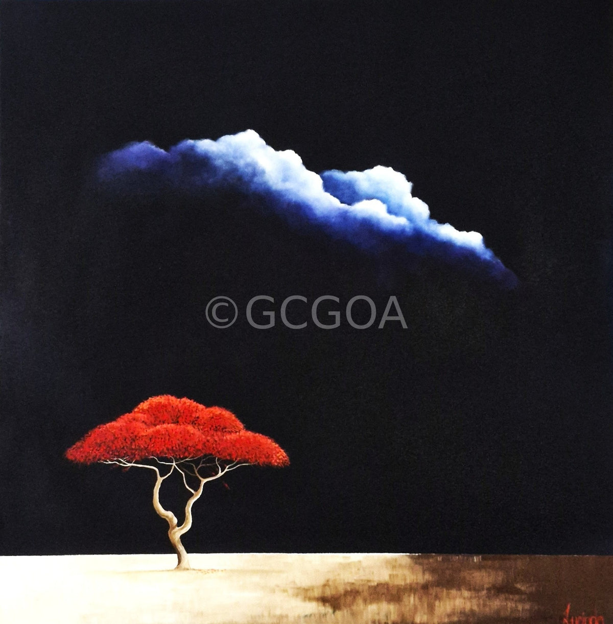 Flame Of The Savanna - Gold Coast Gallery Of ArtLucinda Leveille