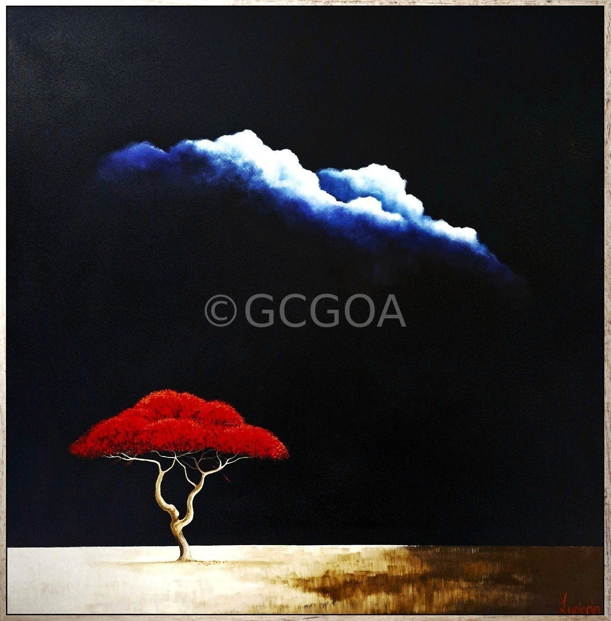 Flame Of The Savanna - Gold Coast Gallery Of ArtLucinda Leveille