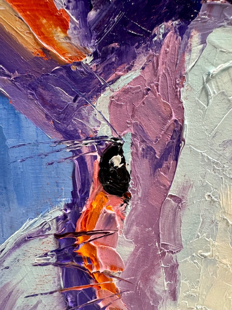 Flopsy the Rabbit - Gold Coast Gallery Of ArtHilly Coufreur