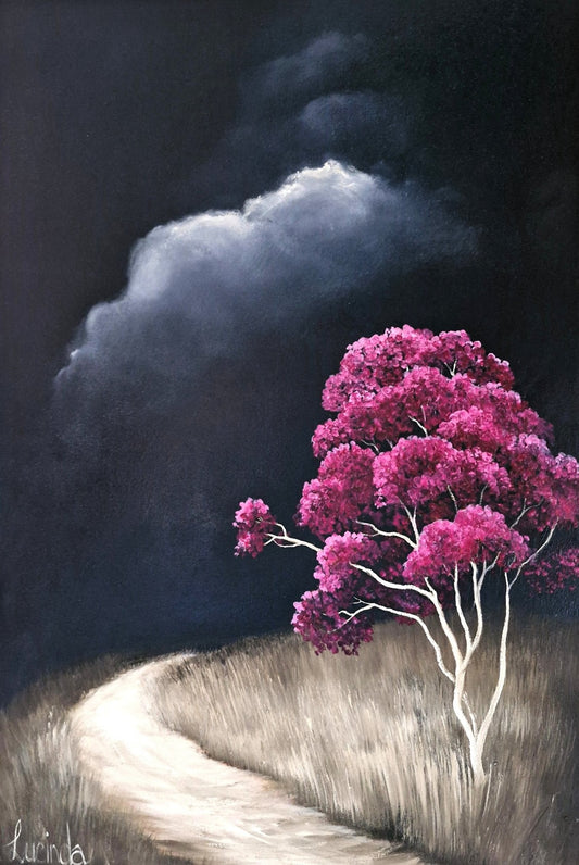 Flowering Gum At Dusk - Gold Coast Gallery Of ArtLucinda Leveille