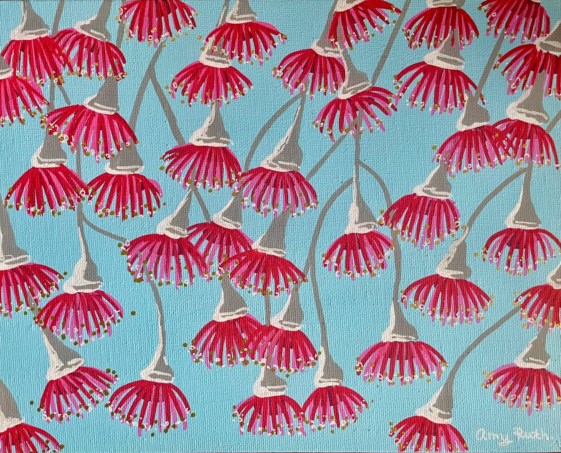 Flowering gums - Gold Coast Gallery Of ArtAmy Ruth