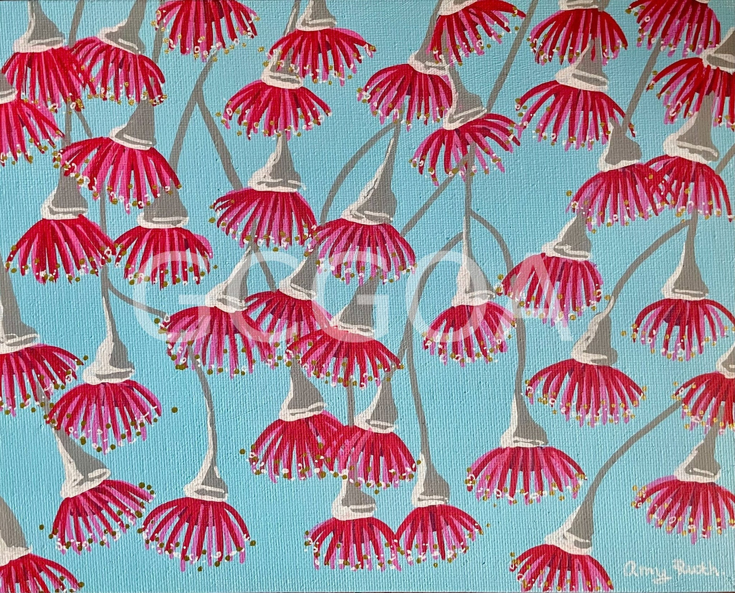 Flowering gums - Gold Coast Gallery Of ArtAmy Ruth