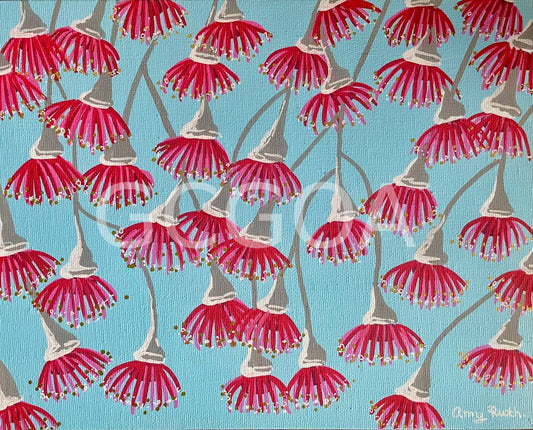 Flowering gums - Gold Coast Gallery Of ArtAmy Ruth