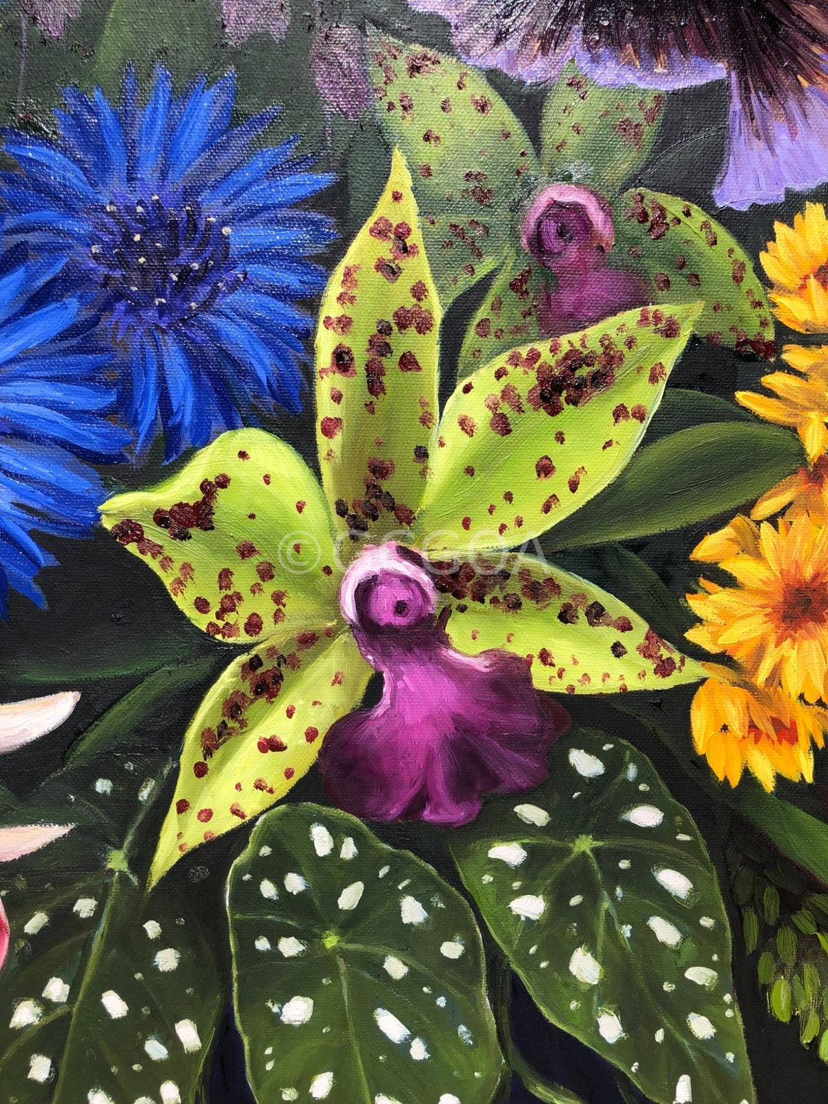 Flowers in a Blue Vase - Gold Coast Gallery Of ArtCoco Cashman