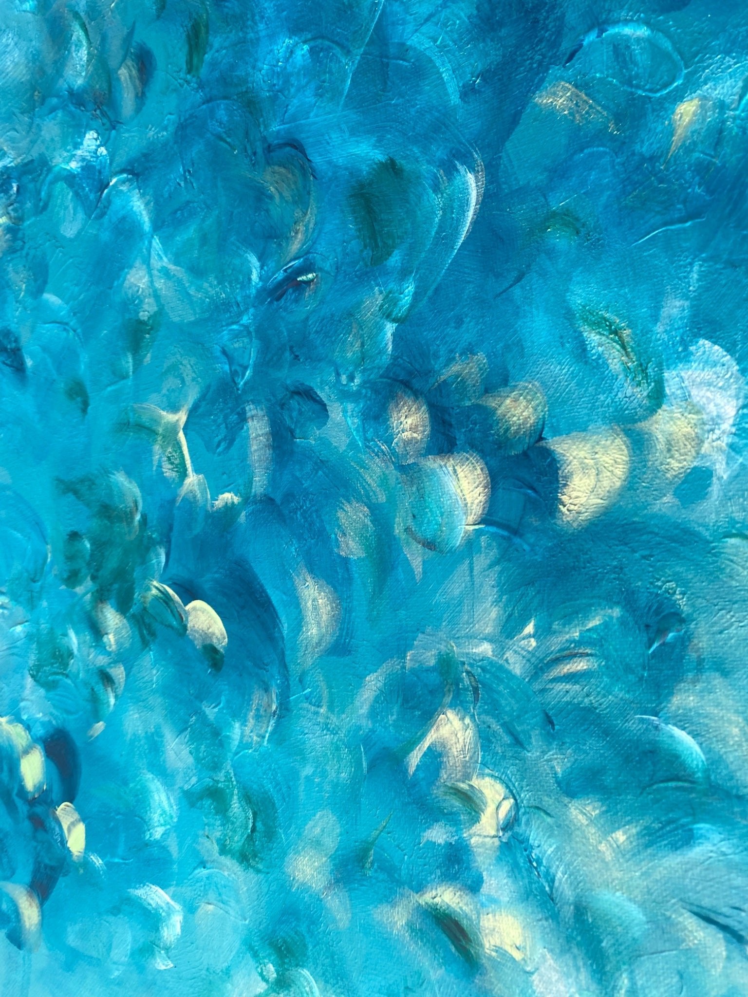 Fly Forever - Gold Coast Gallery Of ArtKatherine Spiller