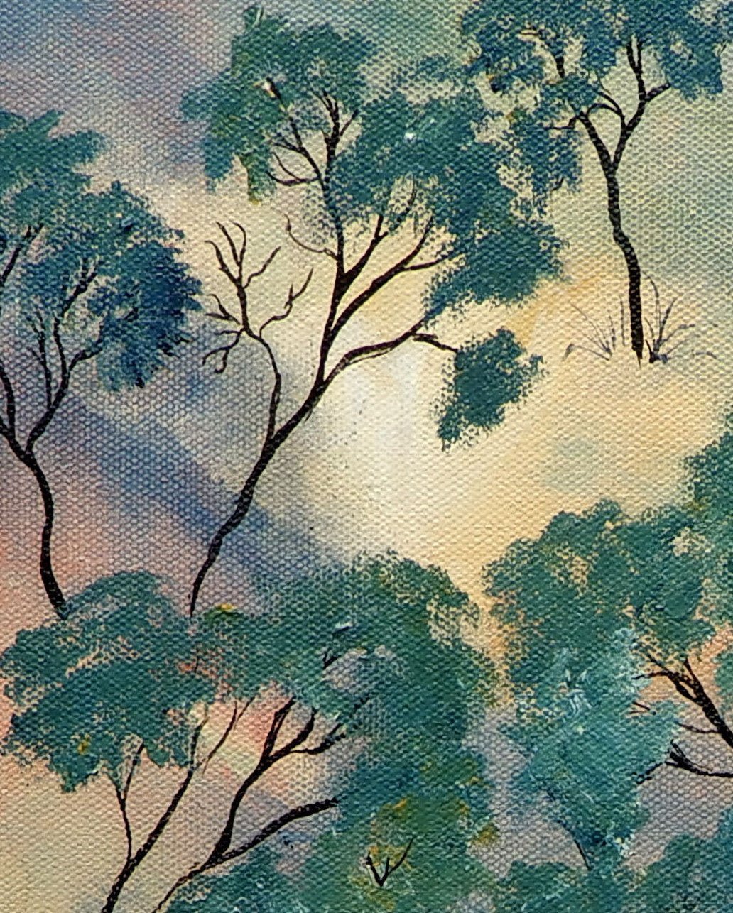 Forest Dream - Gold Coast Gallery Of ArtDoodie Herman