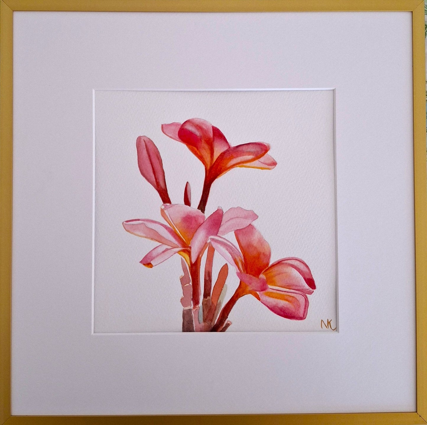 Frangipani - Original Art, Watercolour, Framed - Gold Coast Gallery Of ArtNatalie K