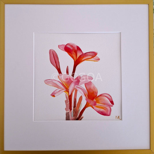 Frangipani- Original Art, Watercolour, Framed - Gold Coast Gallery Of ArtNatalie K