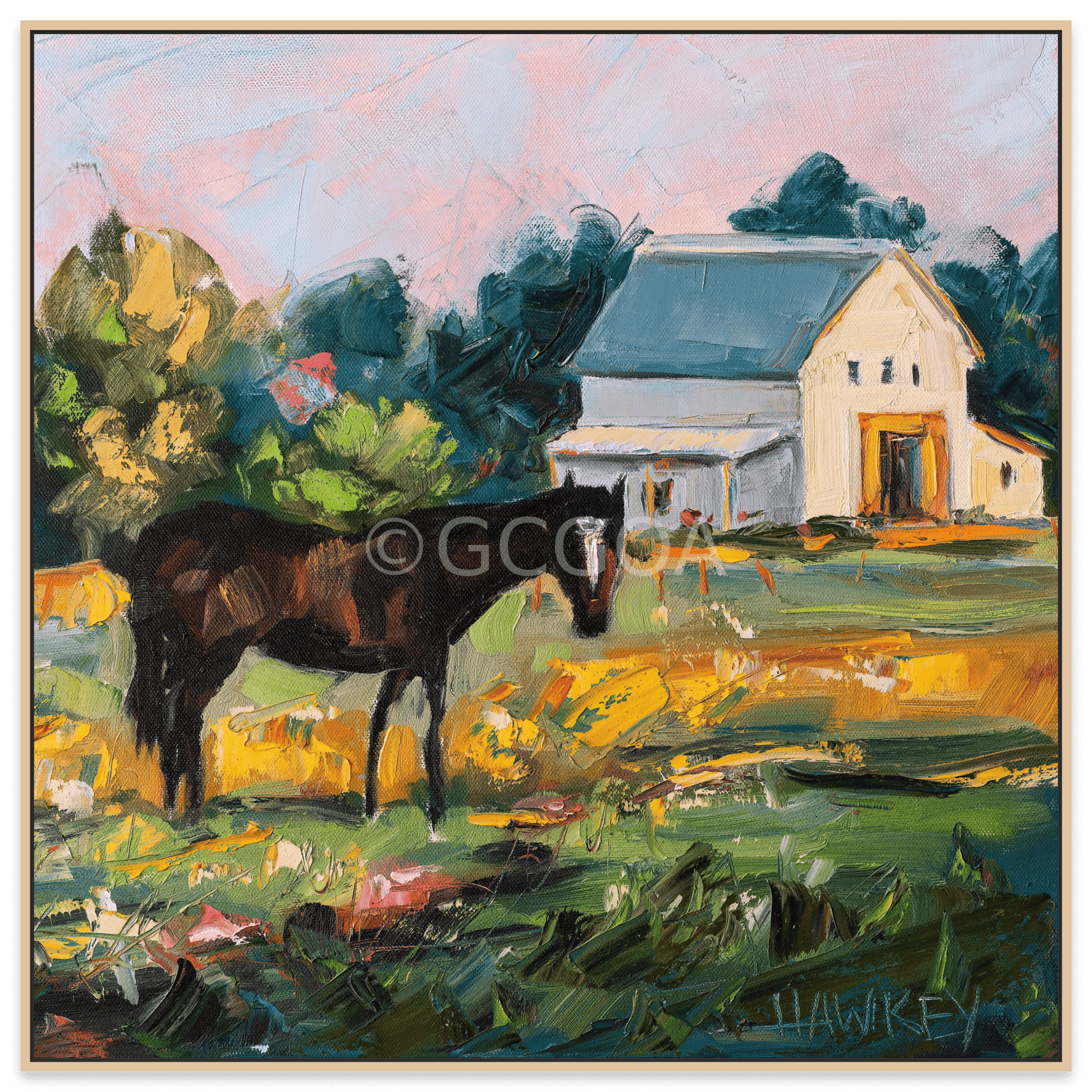 Gelding - Fine Art Print - Gold Coast Gallery Of ArtAngela Hawkey