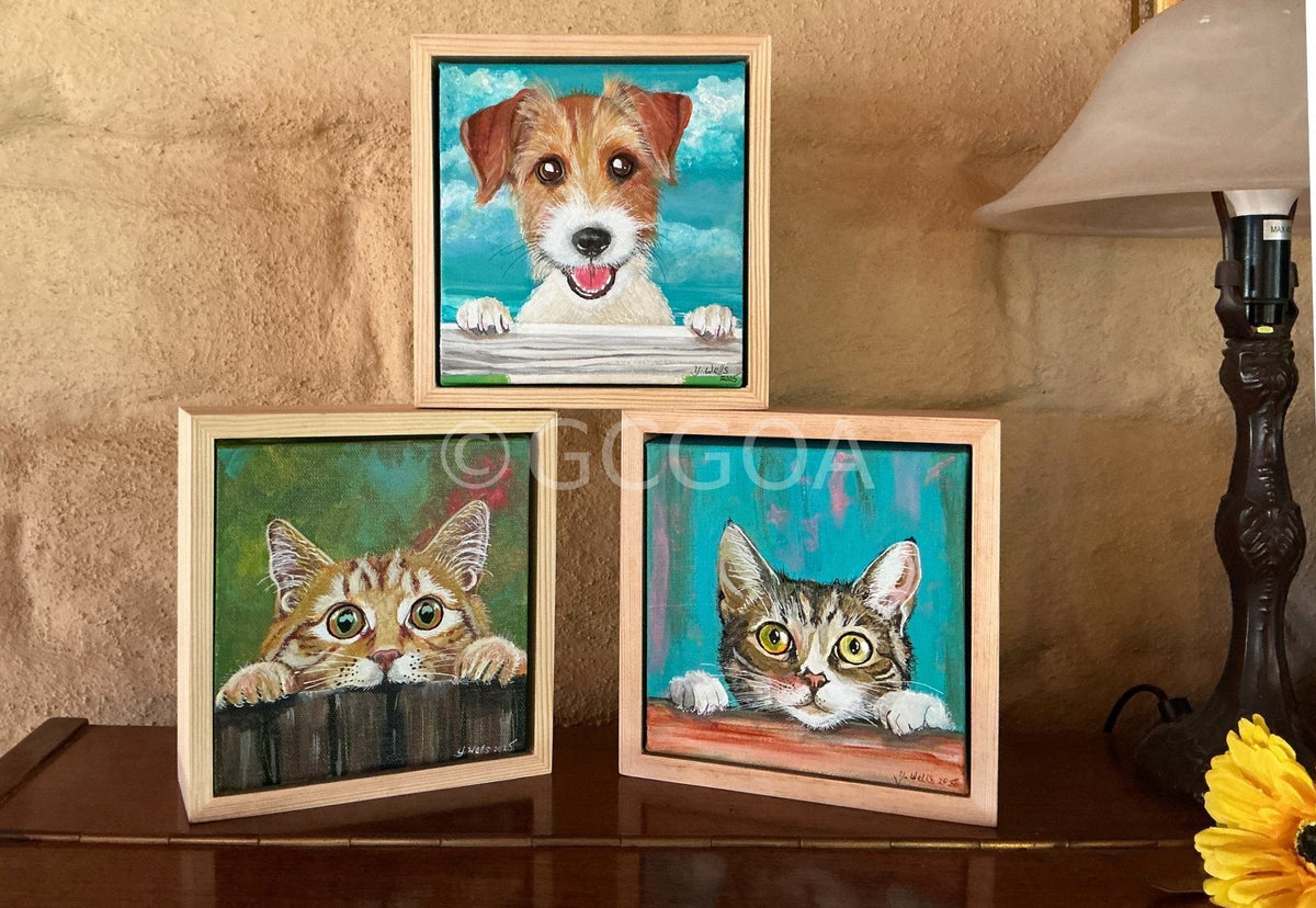 Ginga the cat - Gold Coast Gallery Of ArtYvonne Wells